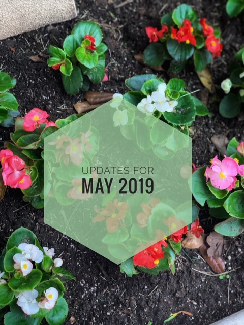 Updates for May 2019