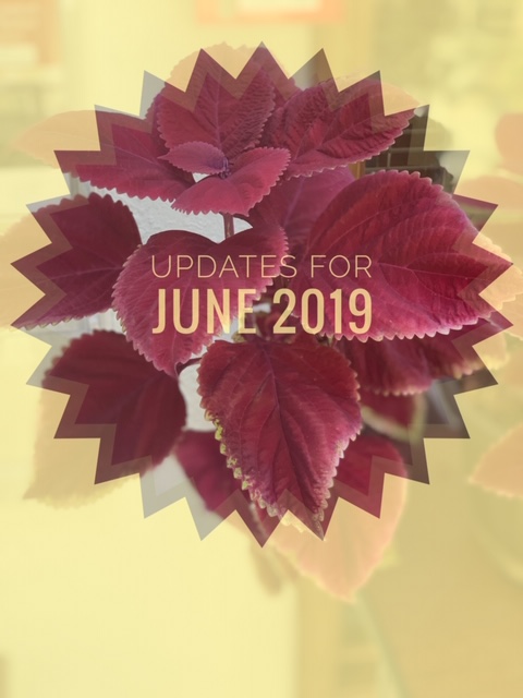 Updates for June 2019