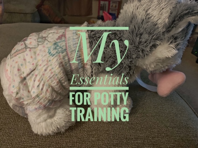 My Top Essentials for Potty Training