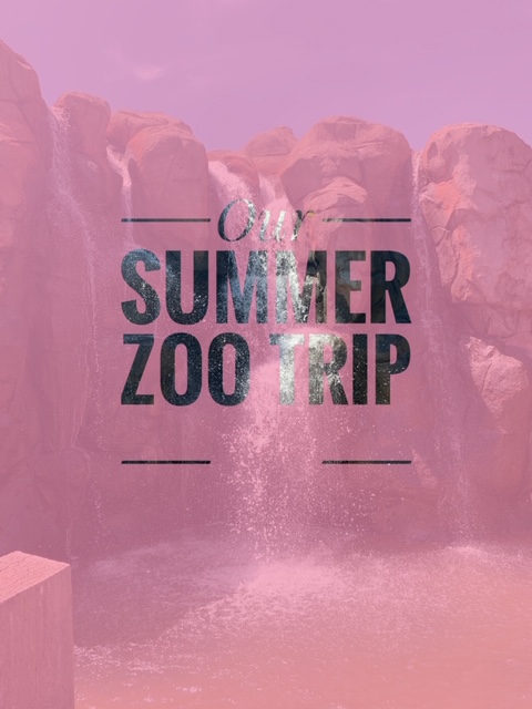 Adventures with Leena 3-Summer Zoo Trip