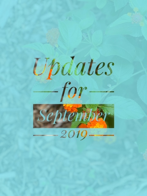 Updates for September 2019