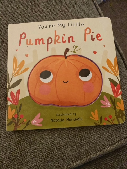 Picture of the book You're My Little Pumpkin Pie.  There is a pumpkin on the cover surrounded by flowers. 